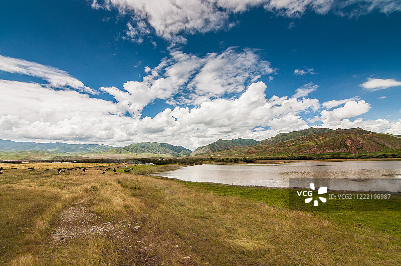 桑科草原图片素材