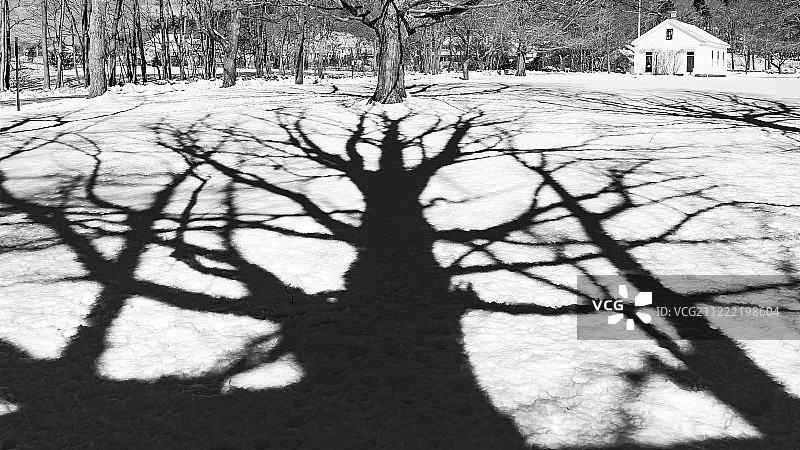 马萨诸塞州纽伯里下格林校舍图片素材
