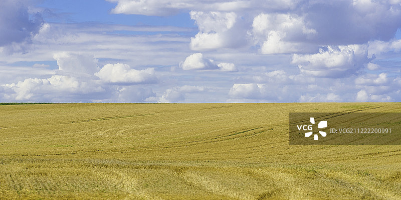 法国田野图片素材