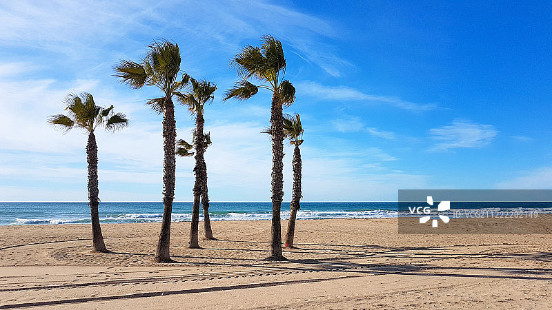 新鲜的图片素材