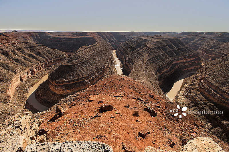 珍珠菜图片素材