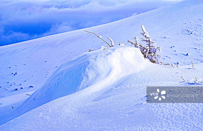 艺术家：自然！图片素材