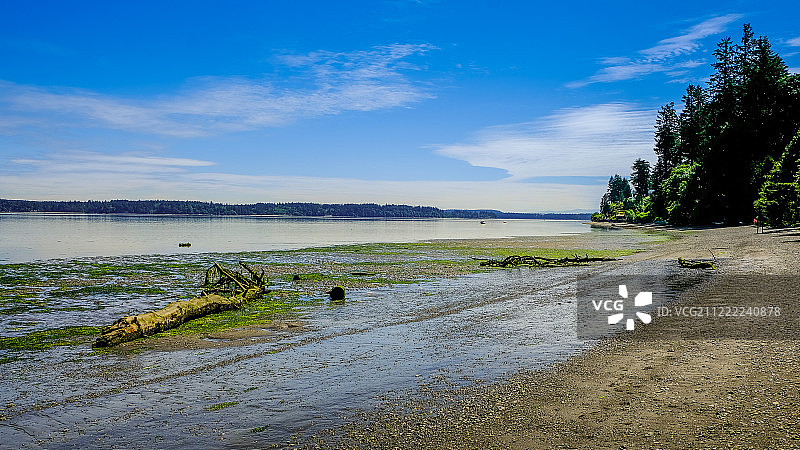 蓝天退潮时的海滩图片素材