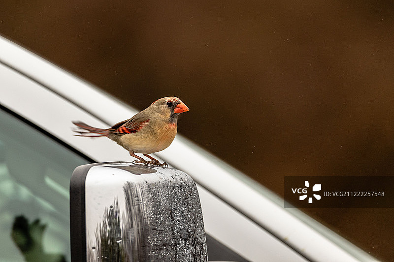 总有一天他们会让我们轻易找到他们图片素材