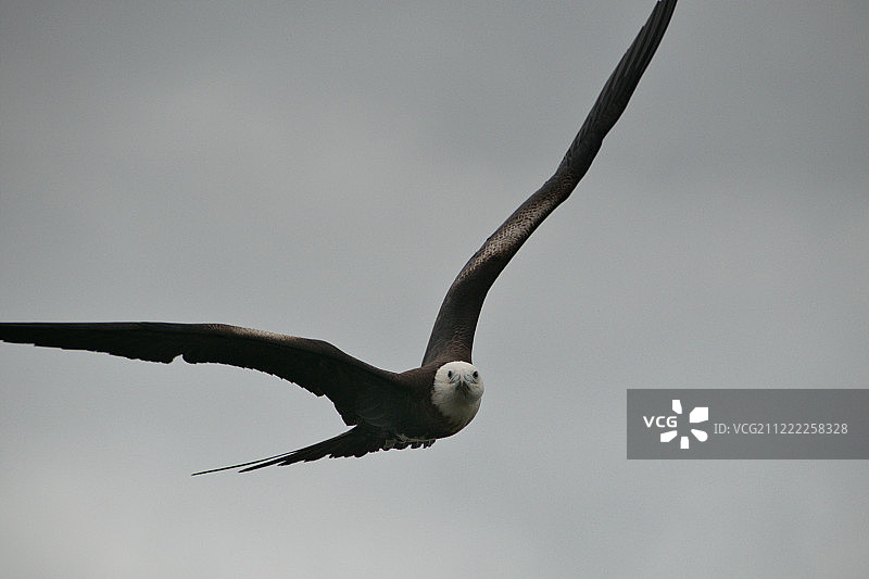 意见一致图片素材