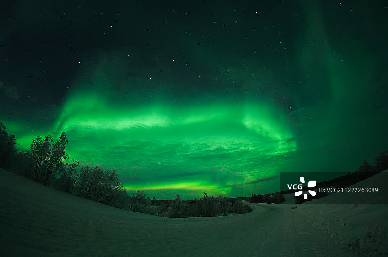 北极光，26122图片素材