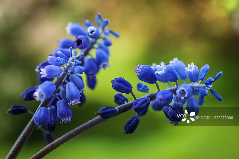 蓝色的图片素材