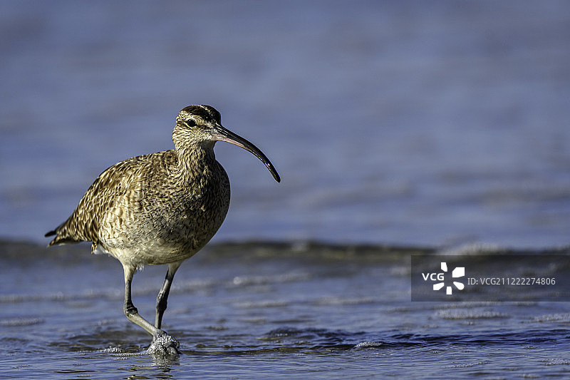 目标明确图片素材
