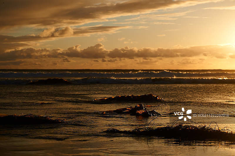 加利福尼亚州银色海滩图片素材