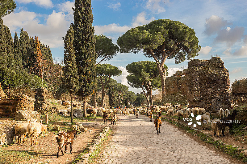 罗马的阿皮亚古道图片素材