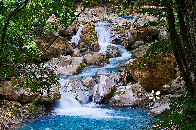 清新绿意时节图片素材