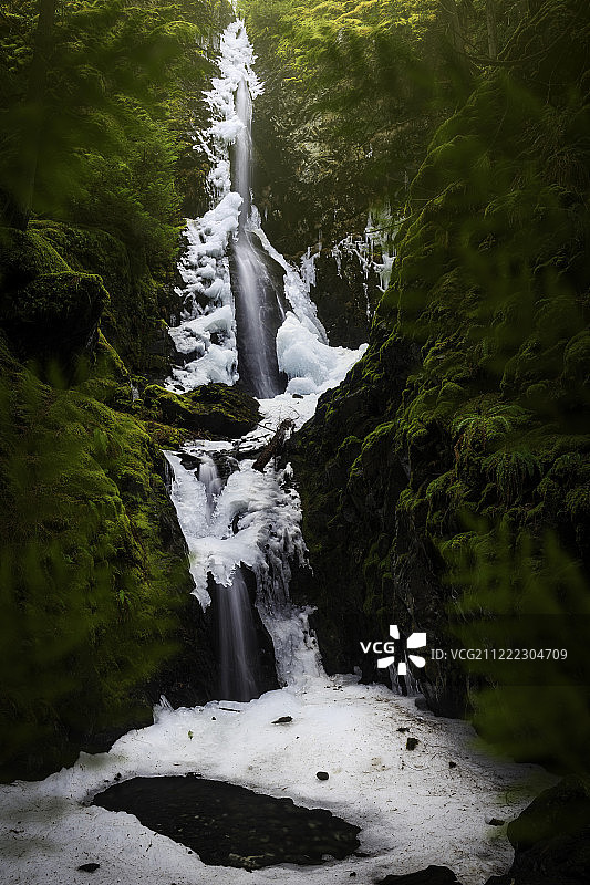 羽扇豆瀑布图片素材