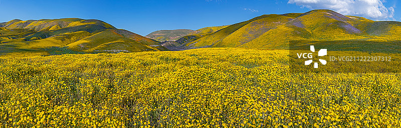 卡里佐平原全景图片素材