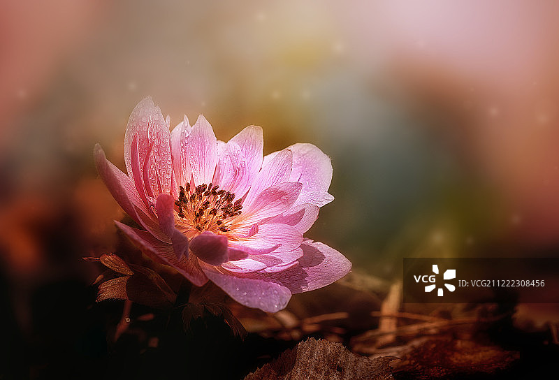 日光浴图片素材