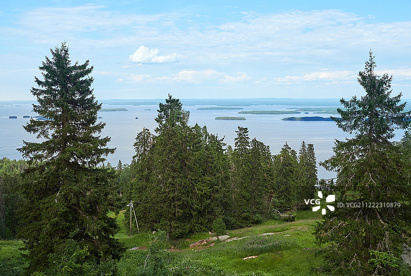 芬兰科利国家公园的夏日风光图片素材
