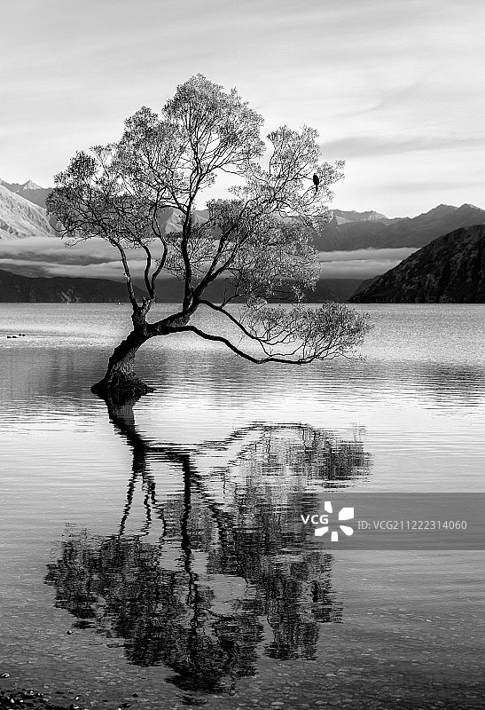 在昏暗的池塘边图片素材