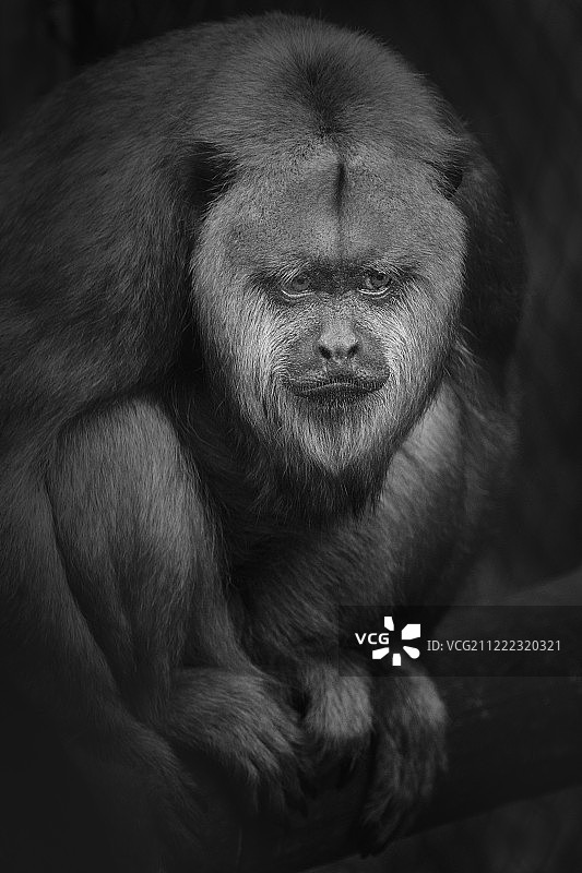 沉思的心情图片素材