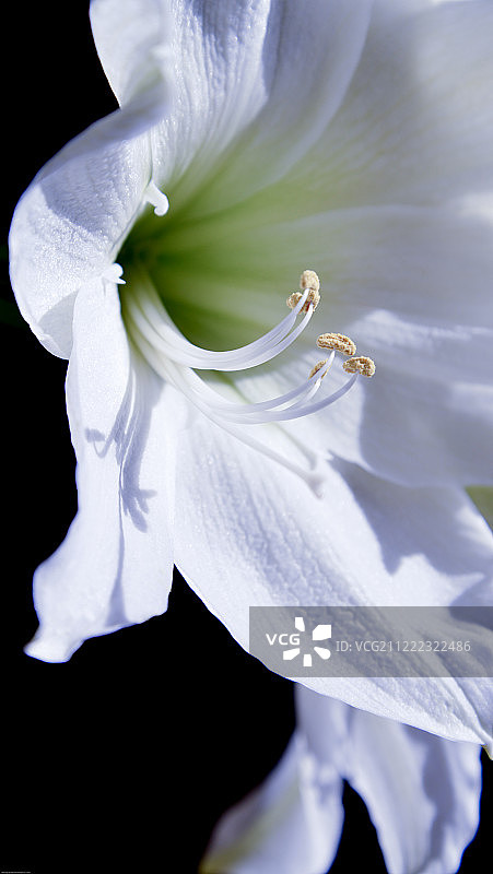 敞开心扉图片素材