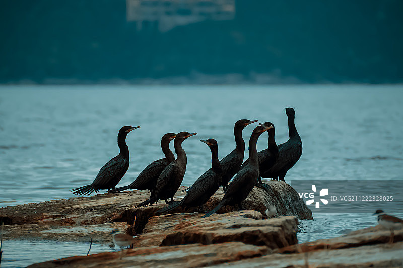 特拉维斯湖图片素材
