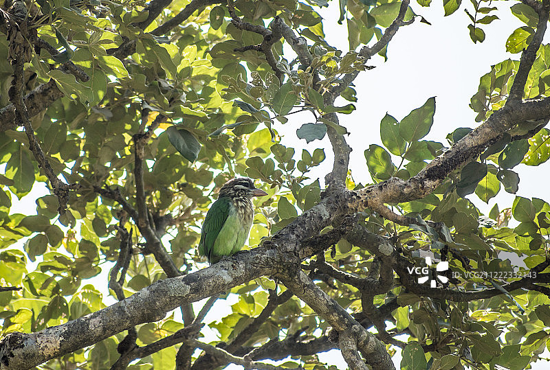 隐藏的图片素材