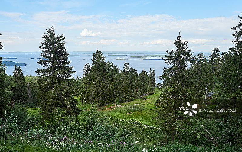 芬兰科利国家公园的夏日风光图片素材
