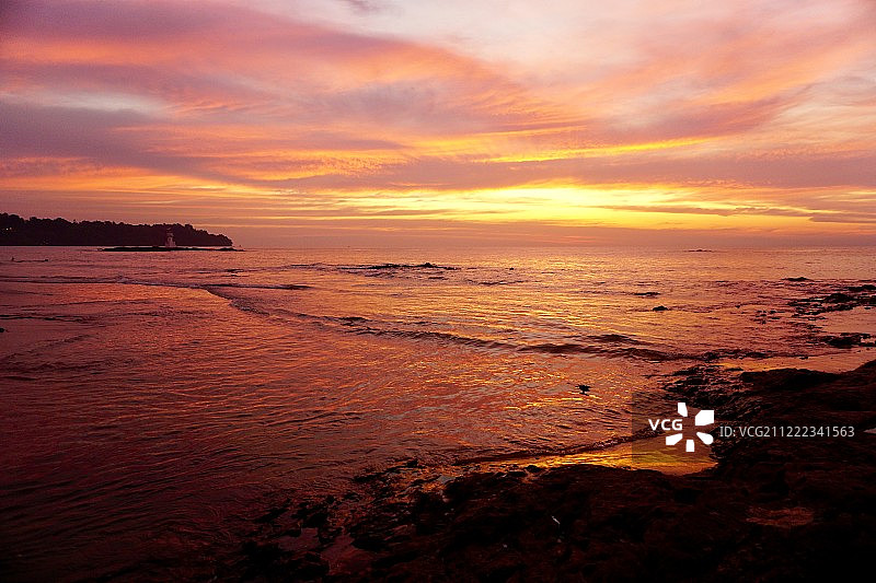 美丽的考拉日落图片素材