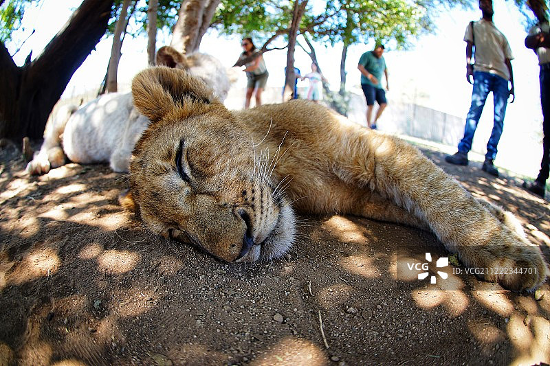 你好凯蒂猫图片素材