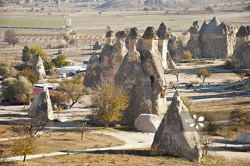 帕夏贝图片素材