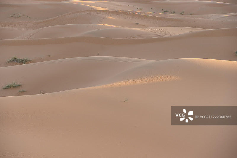 沙曲线图片素材