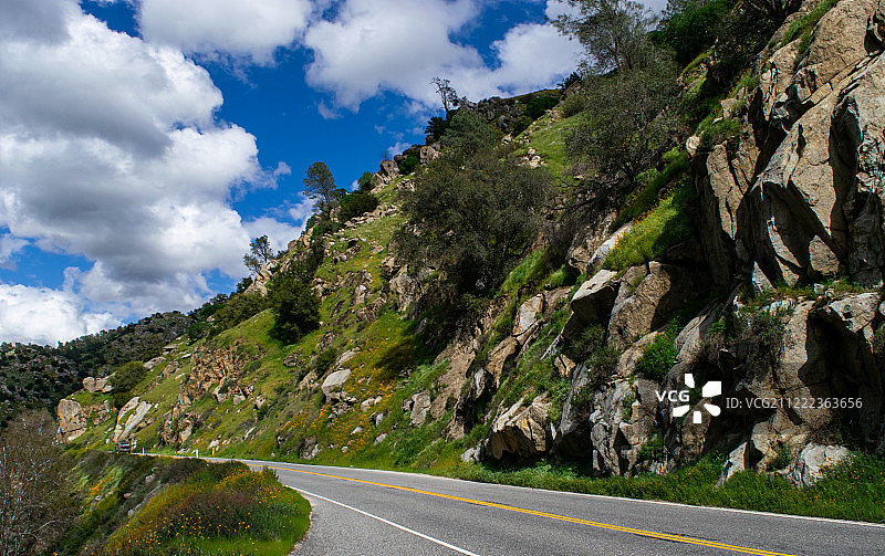 红杉国家森林图片素材