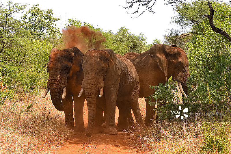 道路封闭图片素材