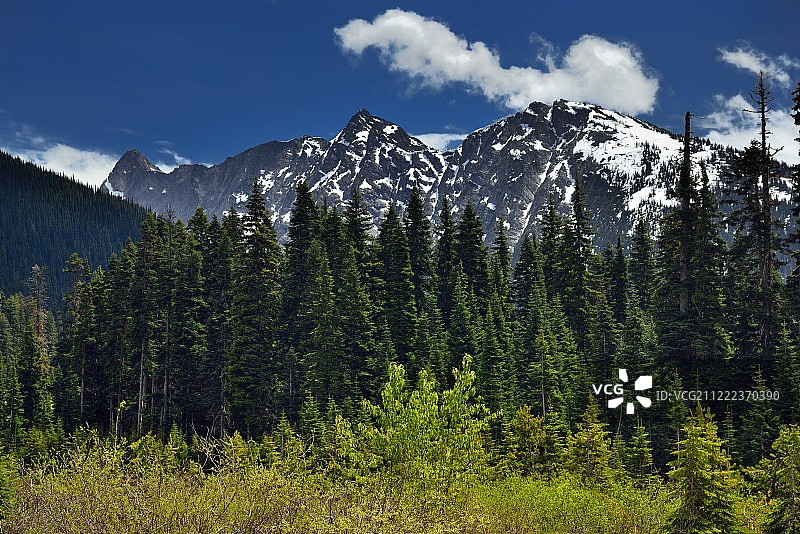 我渴望看到白雪皑皑的山脉图片素材