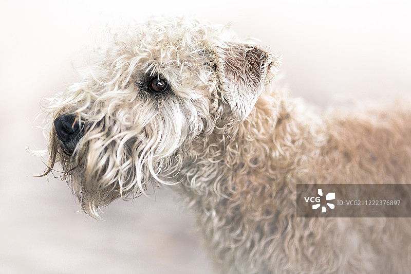 柔软涂层图片素材