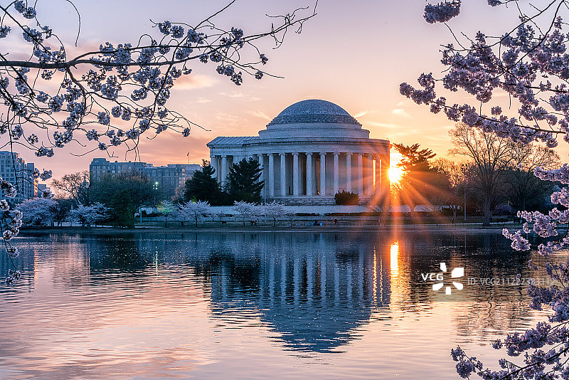 杰斐逊纪念堂樱花日出图片素材