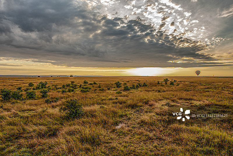 热带稀树草原图片素材