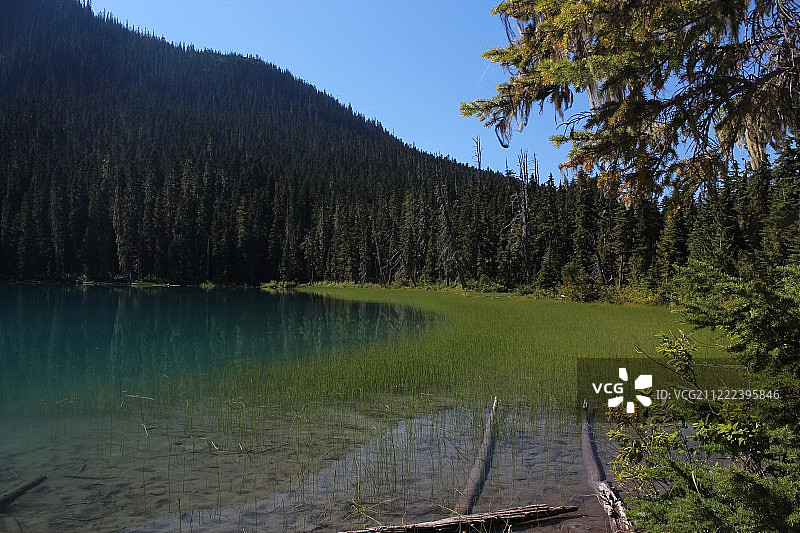 加拿大下乔佛理湖图片素材