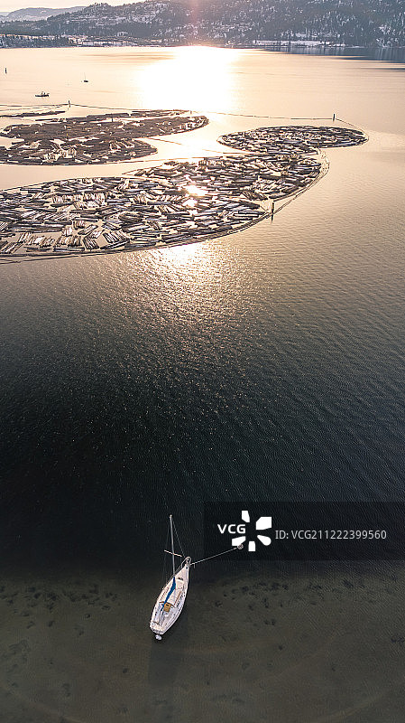 在奥卡诺根湖上航行图片素材