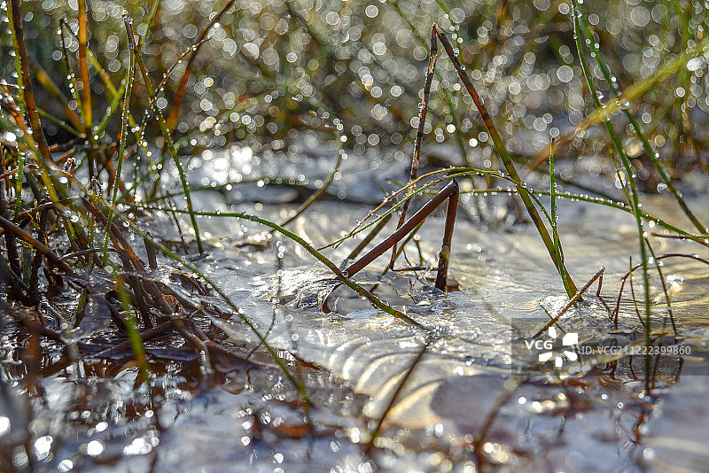 初霜之后图片素材