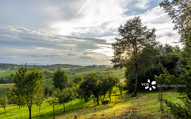 格斯卡基图片素材