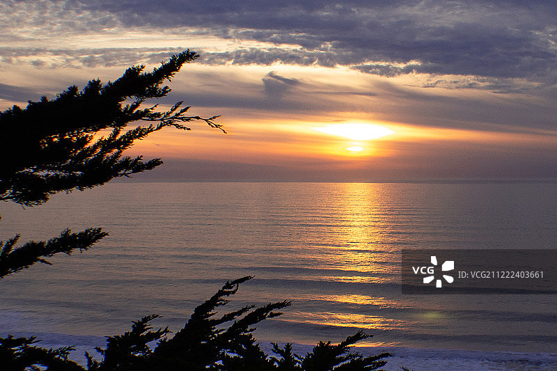 柏树、日落、海浪图片素材