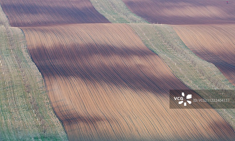 孤单的摄影师图片素材