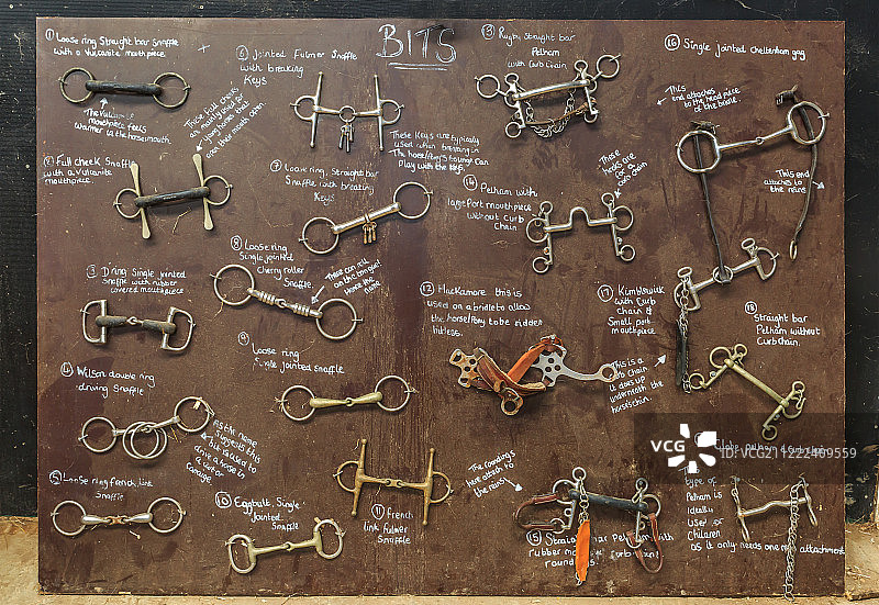 马匹专用马蹄环合集图片素材