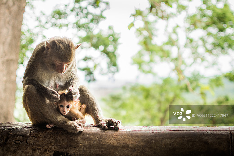 家庭时间图片素材
