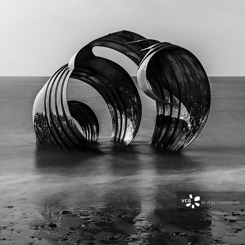 玛丽的贝壳图片素材