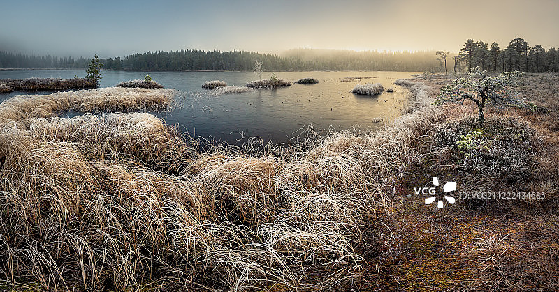 深秋的魔力图片素材