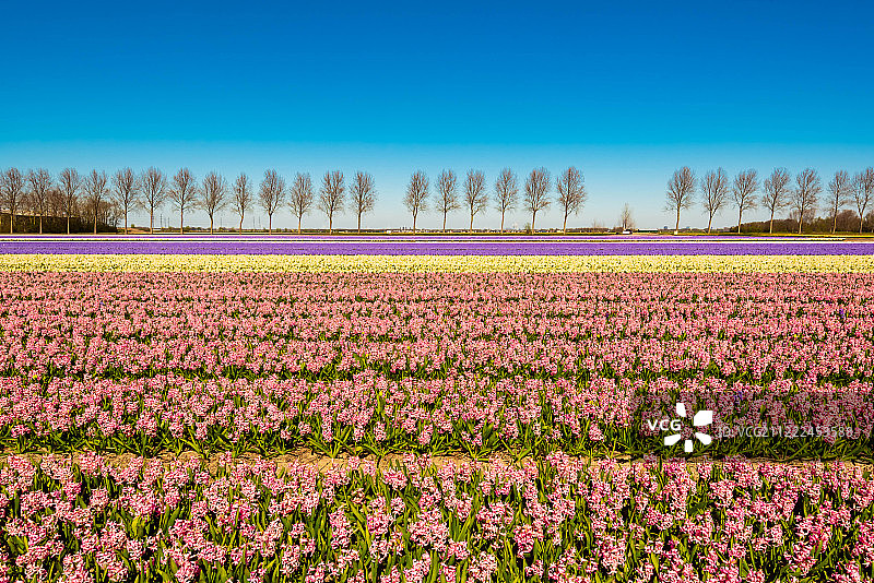 彩绘田野图片素材