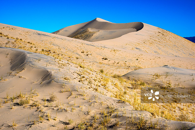 莫哈韦国家保护区图片素材