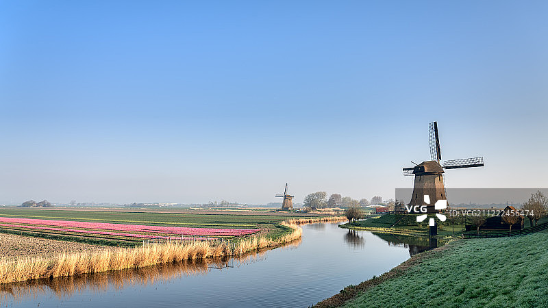 荷兰的春天图片素材