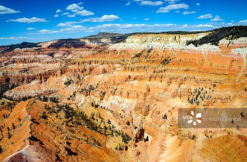 雪松打破国家纪念碑图片素材