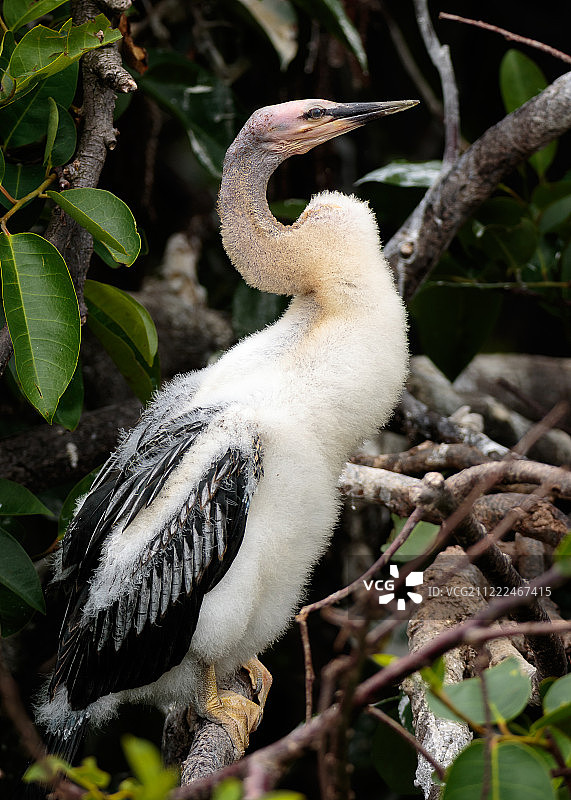 年幼时如此可爱图片素材